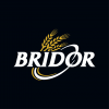 2021_Logo Bridor - CMJN